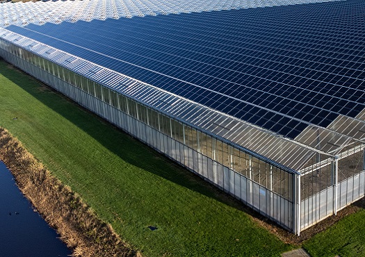 Elektriciteitsnet Walcheren Noord en staart van Zuid Beveland vol door toename duurzame opwek
