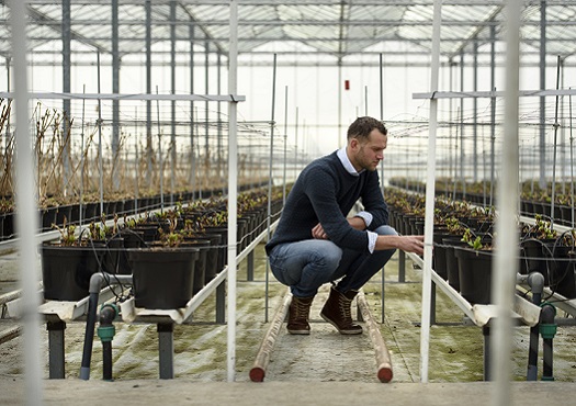 Zuid Hollandse tuinders helpen elektriciteitsnet Stedin ontlasten