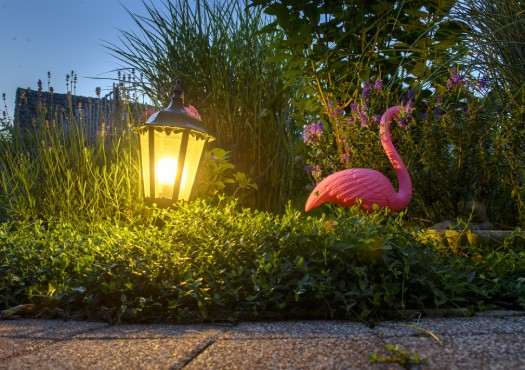 Verlichte tuin met roze flamingo