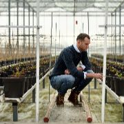 Man in een kas bij planten