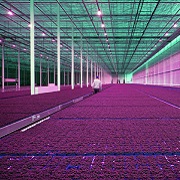 Moderne kas verlicht en verwarmd met aardwarmte