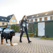 Vrouw met hond aan de lijn loopt op straat