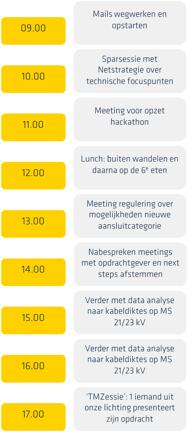 Agenda Toekomstmaker Aniek bij Stedin