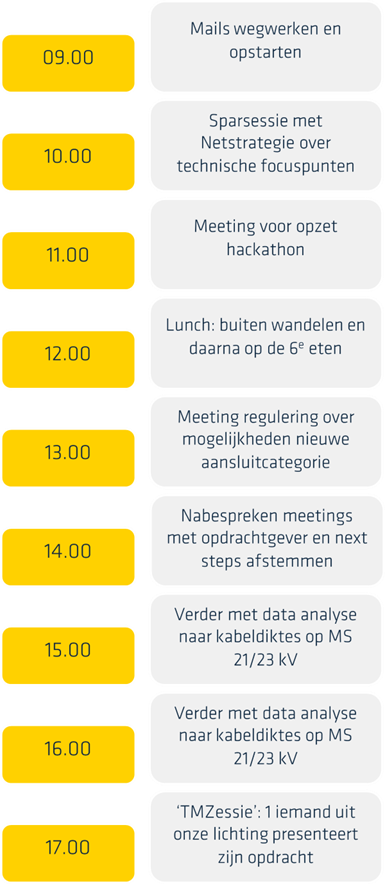 Agenda Toekomstmaker Aniek bij Stedin